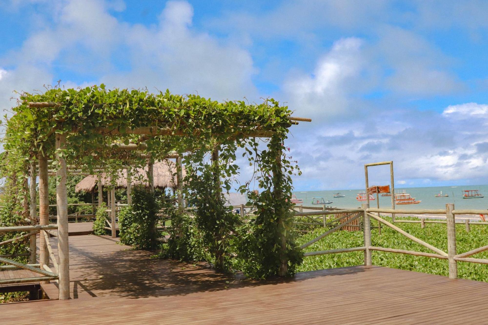 Casa Seriguela - Praia Do Patacho - Rota Ecologica Dos Milagres Pôrto de Pedras Dış mekan fotoğraf